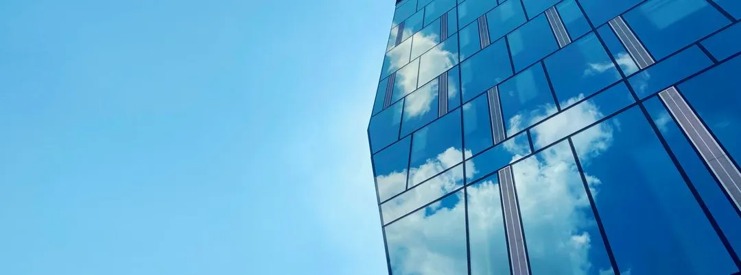 Enterprises & Large Organizations